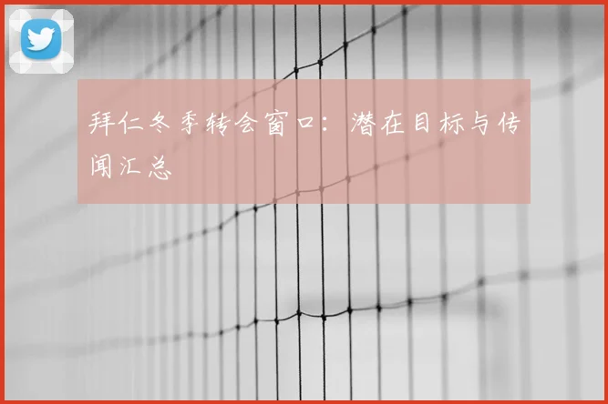 拜仁冬季转会窗口:潜在目标与传闻汇总